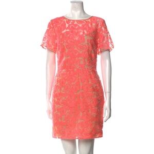 Veronica beard lace dress. Size 4